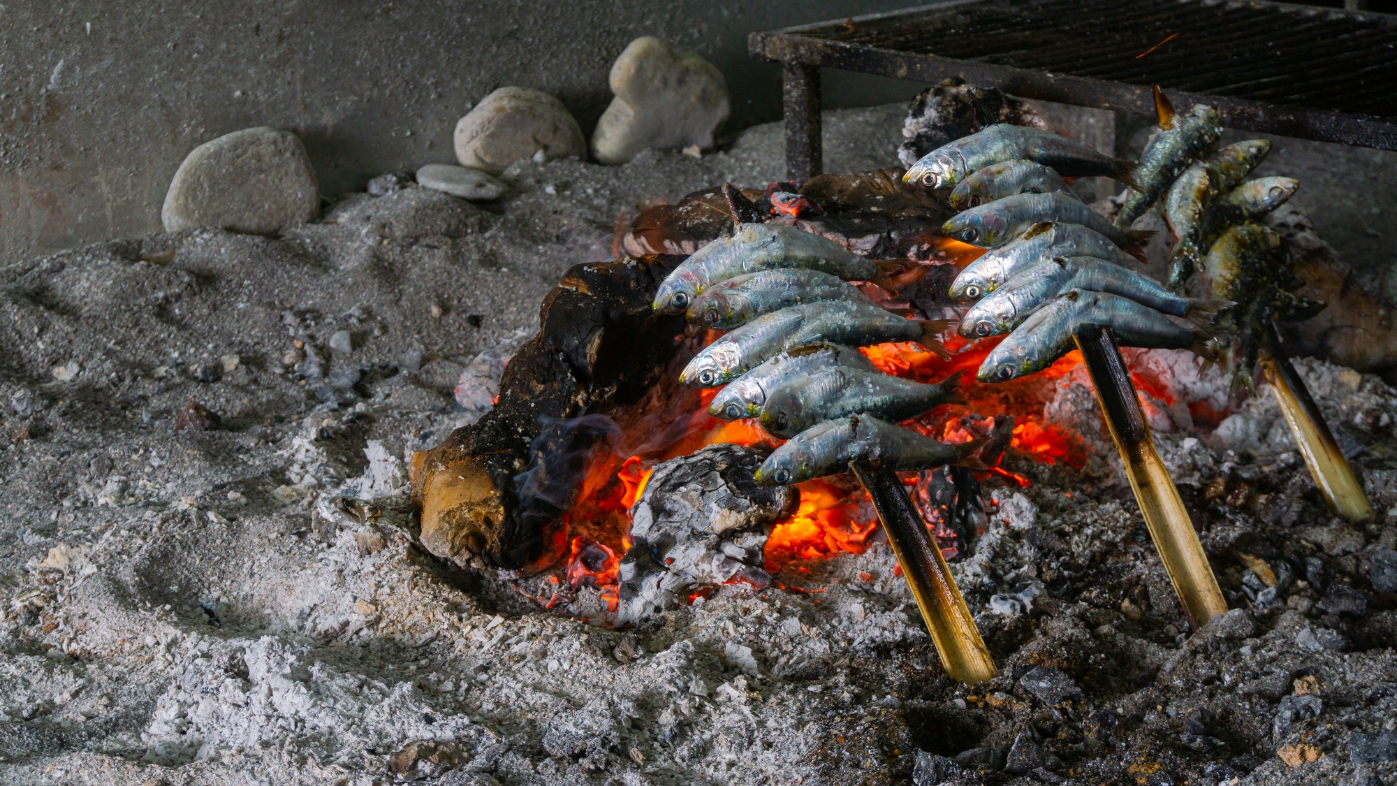Sardine spits in Almuñecar, Costa Tropical. Sardine spits in Almuñecar, Costa Tropical. Esparto is the typical way of making sardines on the Andalusian coast.